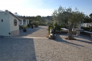 Appartements en Location  