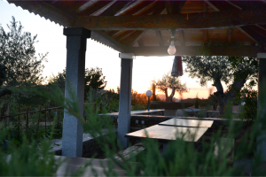 Veranda  